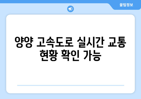 양양 고속도로 실시간 교통 현황 확인 가능