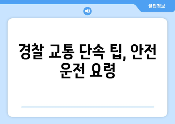 경찰 교통 단속 팁, 안전 운전 요령