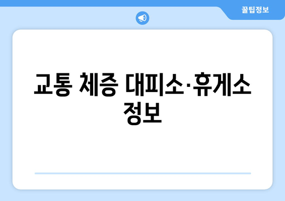 교통 체증 대피소·휴게소 정보