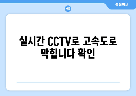 실시간 CCTV로 고속도로 막힙니다 확인