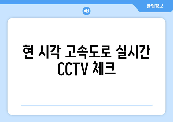 현 시각 고속도로 실시간 CCTV 체크