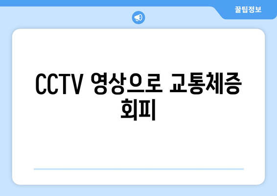 CCTV 영상으로 교통체증 회피