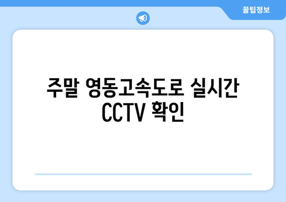 주말 영동고속도로 실시간 CCTV 확인