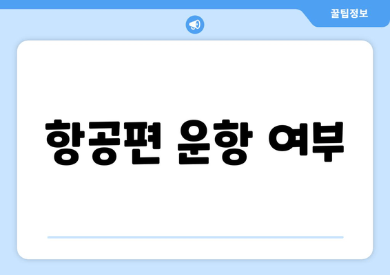 항공편 운항 여부