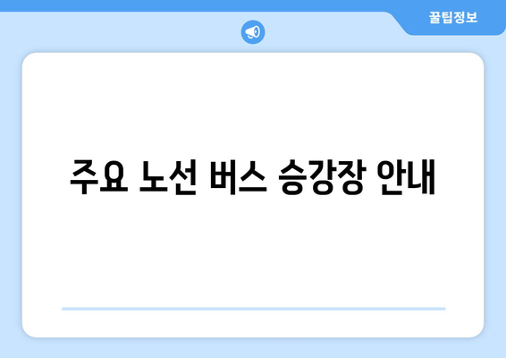 주요 노선 버스 승강장 안내