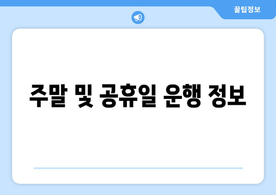 주말 및 공휴일 운행 정보