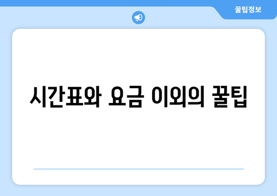 시간표와 요금 이외의 꿀팁