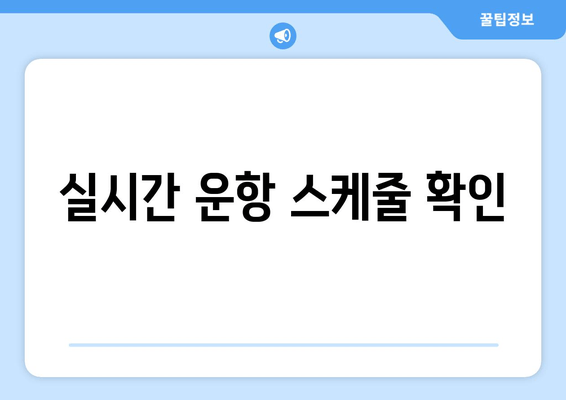 실시간 운항 스케줄 확인