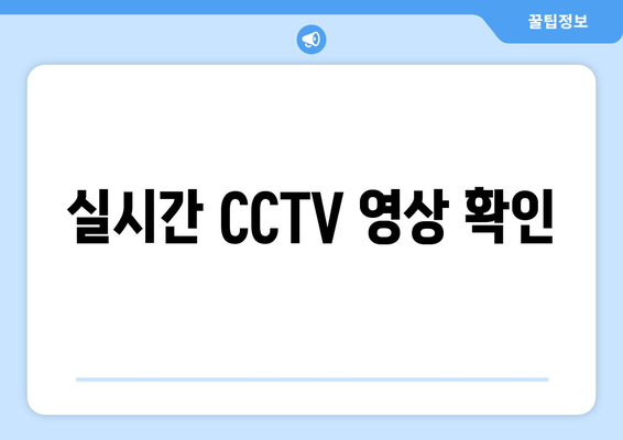 실시간 CCTV 영상 확인