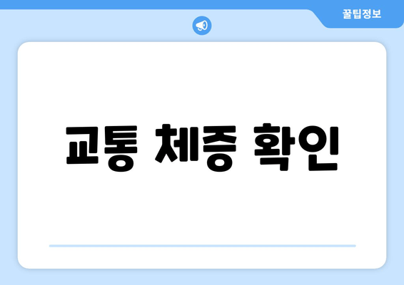 교통 체증 확인