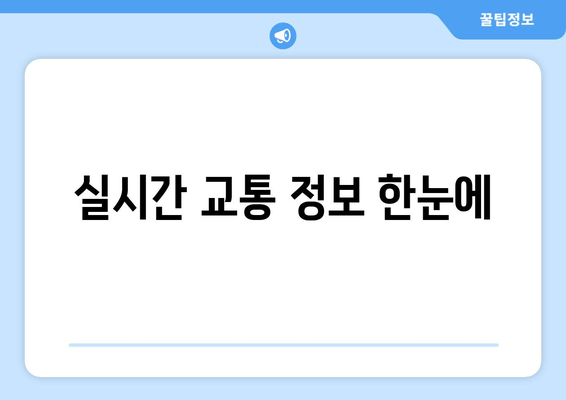 실시간 교통 정보 한눈에