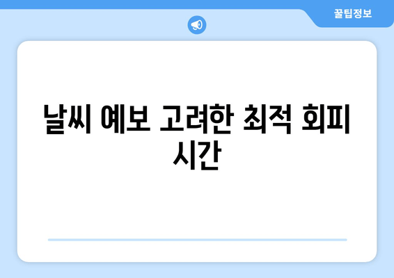 날씨 예보 고려한 최적 회피 시간