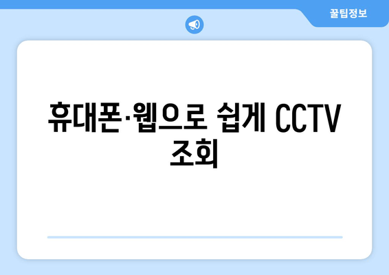 휴대폰·웹으로 쉽게 CCTV 조회