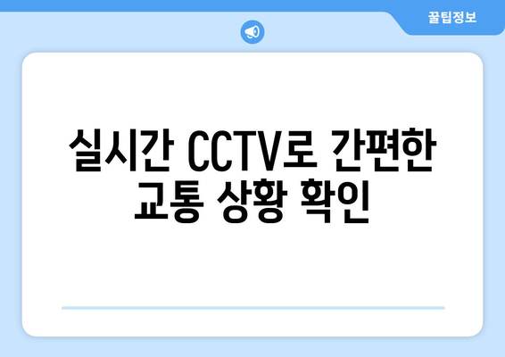 실시간 CCTV로 간편한 교통 상황 확인