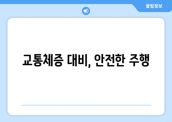 교통체증 대비, 안전한 주행