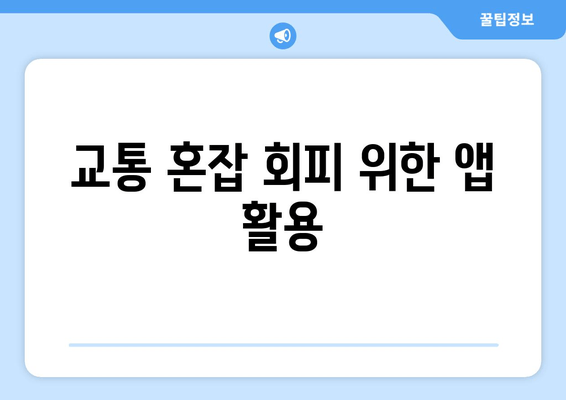 교통 혼잡 회피 위한 앱 활용