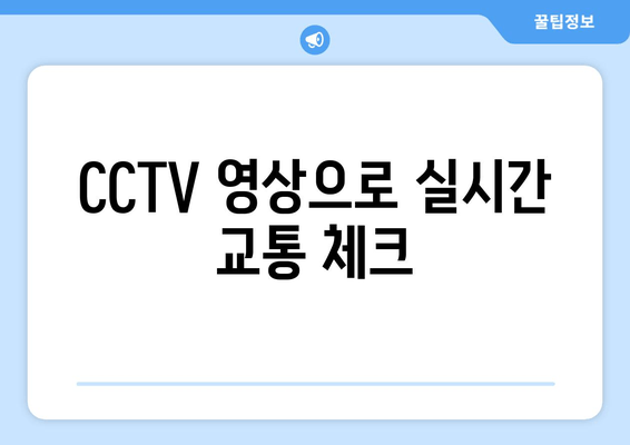 CCTV 영상으로 실시간 교통 체크