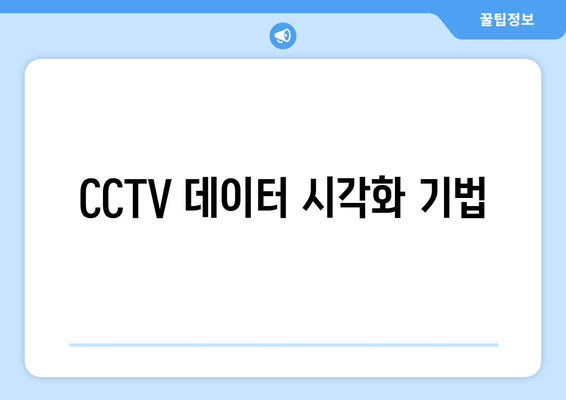 CCTV 데이터 시각화 기법