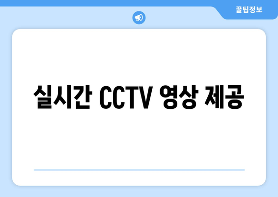 실시간 CCTV 영상 제공