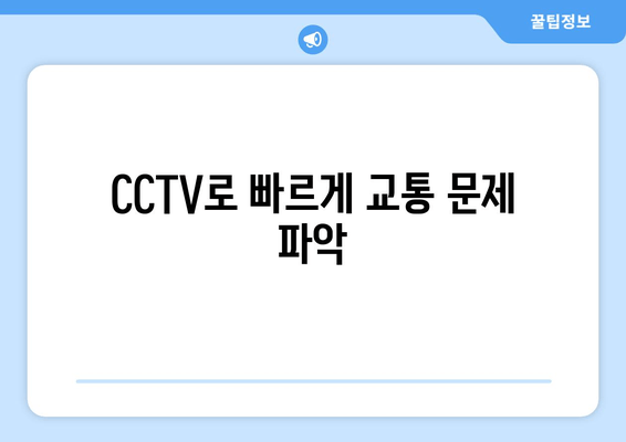 CCTV로 빠르게 교통 문제 파악