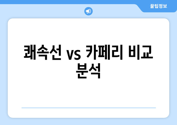 쾌속선 vs 카페리 비교 분석