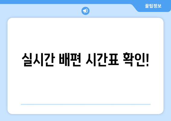 실시간 배편 시간표 확인!