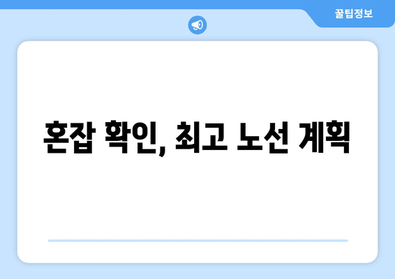 혼잡 확인, 최고 노선 계획