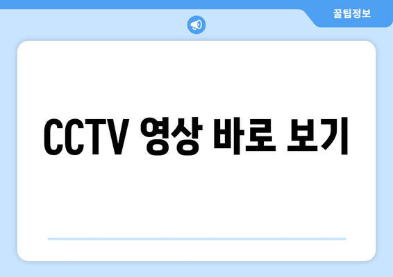 CCTV 영상 바로 보기