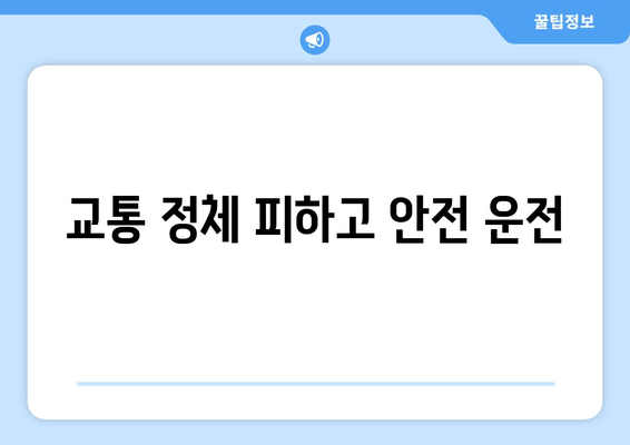 교통 정체 피하고 안전 운전