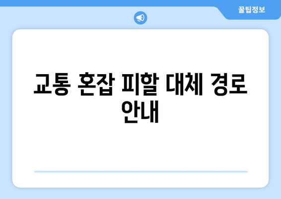 교통 혼잡 피할 대체 경로 안내