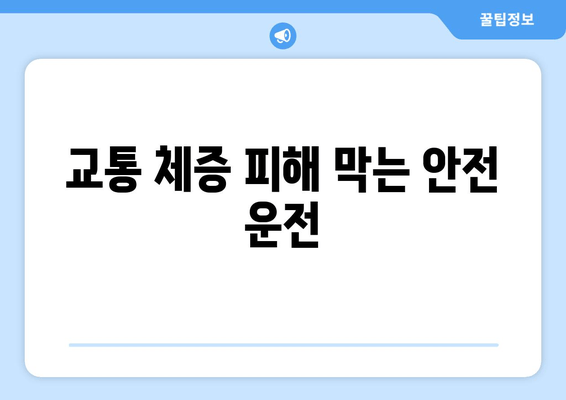 교통 체증 피해 막는 안전 운전