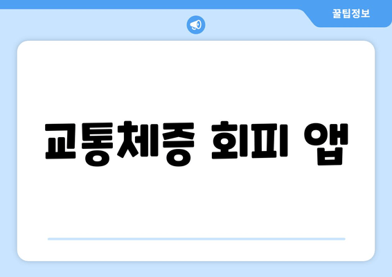 교통체증 회피 앱