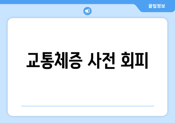 교통체증 사전 회피