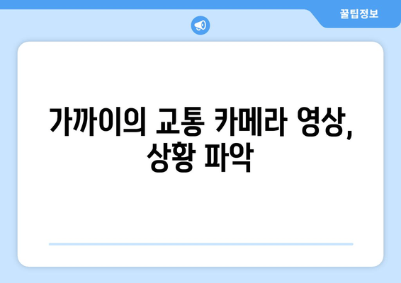 가까이의 교통 카메라 영상, 상황 파악