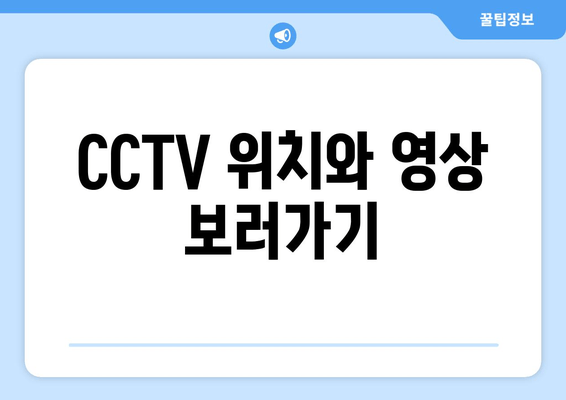 CCTV 위치와 영상 보러가기