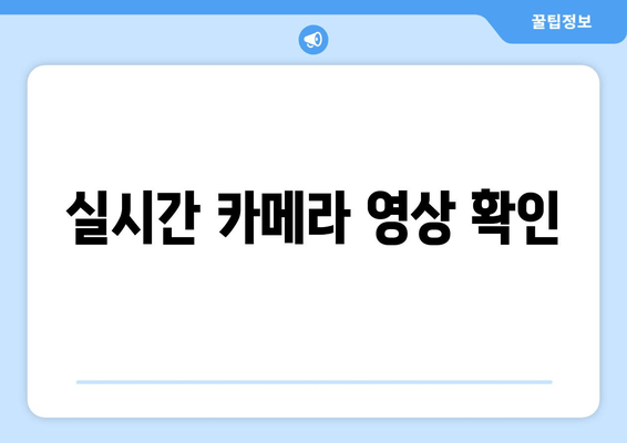 실시간 카메라 영상 확인