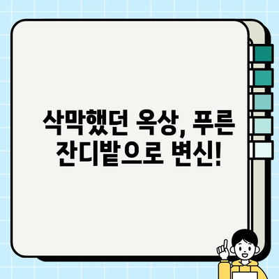 옥상 인조잔디 설치 후기| 헬로그린 업체와 함께한 녹색 공간 만들기 | 옥상 정원, 인조잔디 시공, 헬로그린 후기, 옥상 꾸미기