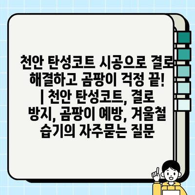 천안 탄성코트 시공으로 결로 해결하고 곰팡이 걱정 끝! | 천안 탄성코트, 결로 방지, 곰팡이 예방, 겨울철 습기