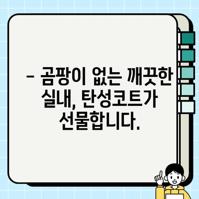 천안 탄성코트 시공으로 곰팡이, 결로 문제 해결! | 습기, 곰팡이 제거, 쾌적한 실내 환경