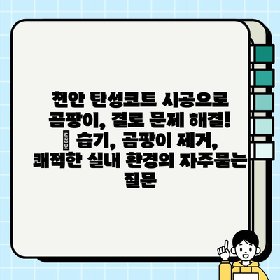 천안 탄성코트 시공으로 곰팡이, 결로 문제 해결! | 습기, 곰팡이 제거, 쾌적한 실내 환경