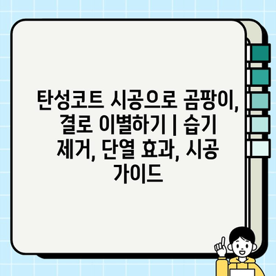 탄성코트 시공으로 곰팡이, 결로 이별하기 | 습기 제거, 단열 효과, 시공 가이드