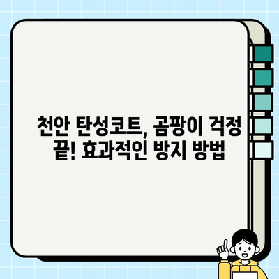 천안 탄성코트, 곰팡이 걱정 끝! 효과적인 방지 방법 | 곰팡이 제거, 탄성코트 시공, 천안 탄성코트