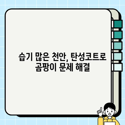 천안 탄성코트, 곰팡이 걱정 끝! 효과적인 방지 방법 | 곰팡이 제거, 탄성코트 시공, 천안 탄성코트