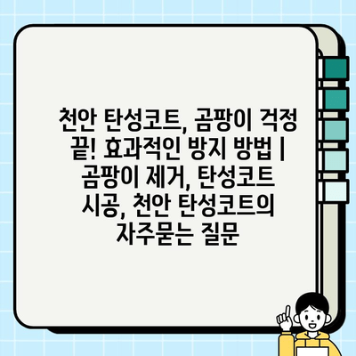 천안 탄성코트, 곰팡이 걱정 끝! 효과적인 방지 방법 | 곰팡이 제거, 탄성코트 시공, 천안 탄성코트