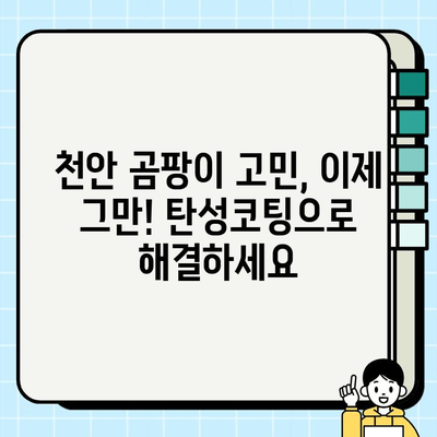 천안 내곰팡이, 이제는 걱정 끝! 탄성코팅 페인트 시공으로 완벽 방지 | 곰팡이 제거, 습기 차단, 천안 탄성코팅