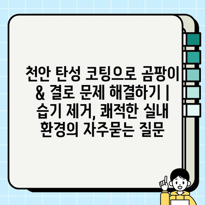 천안 탄성 코팅으로 곰팡이 & 결로 문제 해결하기 | 습기 제거, 쾌적한 실내 환경