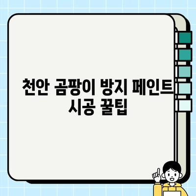 천안 곰팡이 방지 페인트 시공 전문가가 알려주는 꿀팁 | 곰팡이 제거, 페인트 종류, 시공 가이드, 비용