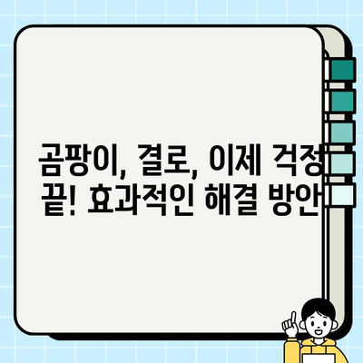 천안 탄성코트 곰팡이 결로 방지 페인트 시공 비용 상세 안내 | 견적, 가격, 시공, 곰팡이 제거, 결로 해결