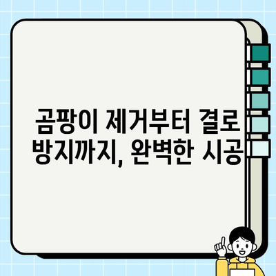 천안 탄성코트 곰팡이 결로 방지 페인트 시공 비용 상세 안내 | 견적, 가격, 시공, 곰팡이 제거, 결로 해결