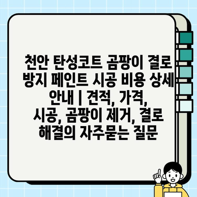 천안 탄성코트 곰팡이 결로 방지 페인트 시공 비용 상세 안내 | 견적, 가격, 시공, 곰팡이 제거, 결로 해결